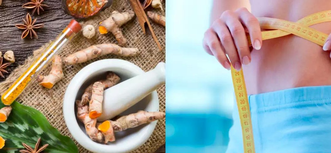 Healthy Fats in Ayurveda